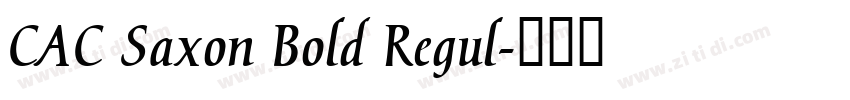 CAC Saxon Bold Regul字体转换